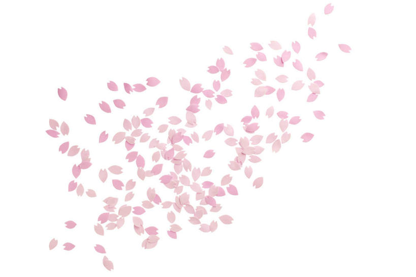 横图,插画,室内,特写,白天,白色背景,正面,爱情,幸福,纯洁,数码,科技,樱花,许多,阴影,散落,盛开,网络,粉红色,粉红,高光,几何,计算机图形,浪漫,合成,花蕾,图画,画,花,花瓣,花朵,鲜花,粉色,花苞,花蕊,健康,可爱,活泼,等待,青春,满足,电脑合成图,数码合成图,甜美,生命,时髦,温柔,漫画,纯真,写实,具体,具象,仙樱花,福岛樱,青肤樱,高尚,飘拂,热烈,荆桃,半身,彩图