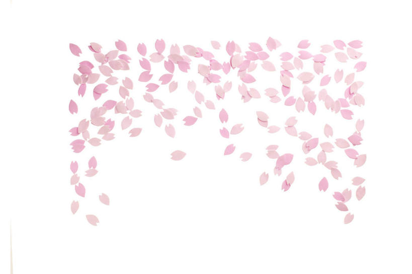 横图,插画,室内,特写,白天,白色背景,正面,爱情,幸福,纯洁,数码,科技,樱花,许多,阴影,散落,盛开,网络,粉红色,粉红,高光,几何,计算机图形,浪漫,合成,花蕾,图画,画,花,花瓣,花朵,鲜花,粉色,花苞,花蕊,健康,可爱,活泼,等待,青春,满足,电脑合成图,数码合成图,甜美,生命,时髦,温柔,漫画,纯真,写实,具体,具象,仙樱花,福岛樱,青肤樱,高尚,飘拂,热烈,荆桃,半身,彩图