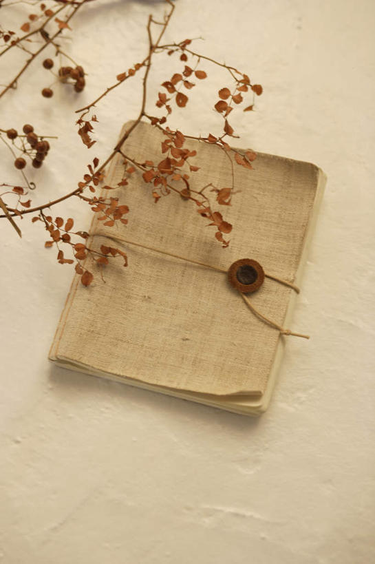 无人,竖图,俯视,室内,特写,白天,静物,书籍,一本,许多,盛开,枝条,花蕾,花,花瓣,花朵,鲜花,红色,花苞,花蕊,捆绑,束缚,书,图书,彩图,高角度拍摄