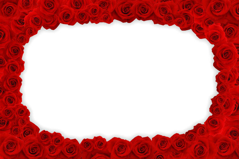 无人,横图,俯视,室内,特写,白天,白色背景,爱情,幸福,纯洁,热情,玫瑰,许多,弯曲,环绕,盛开,围绕,曲线,玫瑰花,长方形,弧形,浪漫,花蕾,花,花瓣,花朵,鲜花,红色,花苞,花蕊,弧度,温暖,温馨,恩爱,和睦,矩形,感动,尊敬,天真,刺玫花,徘徊花,彩图,高角度拍摄,融洽