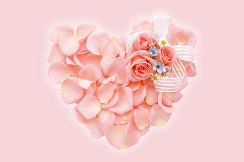 无人,横图,室内,特写,白天,正面,爱情,快乐,幸福,纯洁,热情,数码,科技,玫瑰,许多,阴影,粉色背景,爱心,装饰,盛开,透明,网络,丝绸,丝带,玛格丽特,玫瑰花,缎带,高光,几何,计算机图形,浪漫,合成,花蕾,绸带,雏菊,花,花瓣,花朵,鲜花,一朵,粉色,白色,花苞,花蕊,温暖,温馨,心形,菊花,恩爱,活力,希望,华丽,修饰,点缀,电脑合成图,数码合成图,和睦,坚强,和平,感动,离别,写实,具体,具象,延命菊,幸福花,春菊,马兰头花,衬托,美观,雅致,雅观,尊敬,暗恋,纯情,单恋,天真,刺玫花,徘徊花,心型,彩图,愉快,融洽