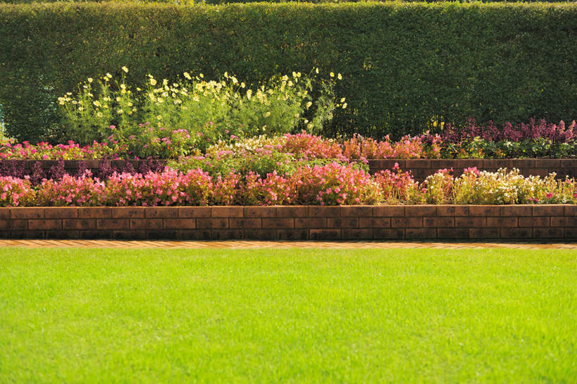 无人,横图,室外,白天,正面,旅游,度假,草地,草坪,花海,花圃,美景,植物,叶子,日本,亚洲,许多,盛开,景观,花蕾,娱乐,草,花,花瓣,花朵,花卉,鲜花,树,树木,蓝色,绿色,蓝天,天空,自然,花丛,花束,花田,天,花苞,花蕊,享受,休闲,景色,放松,大阪,生长,晴朗,成长,自然风光,东亚,本州,万里无云,大阪府,本州岛,日本国,近畿地方,近畿,晴空,晴空万里,彩图