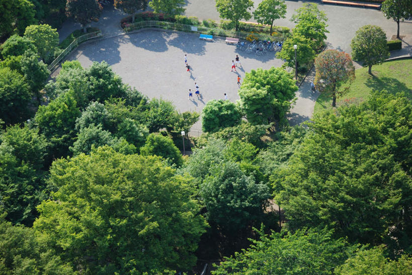 东方人,伙伴,朋友,横图,俯视,室外,白天,旅游,度假,友谊,足球,美景,植物,道路,路,日本,亚洲,阴影,服装,光线,影子,景观,小路,足球装备,交通,许多人,休闲装,黄种人,娱乐,运动器械,树,树木,衣服,绿色,阳光,自然,一群人,享受,休闲,休闲服,踢球,健身器械,景色,放松,服饰,生长,成长,自然风光,健身器材,东亚,本州,关东地方,本州岛,日本国,蹴鞠,崎玉,崎玉县,友情,足球运动,男人,男性,年轻男性,亚洲人,彩图,高角度拍摄,全身,运动器材