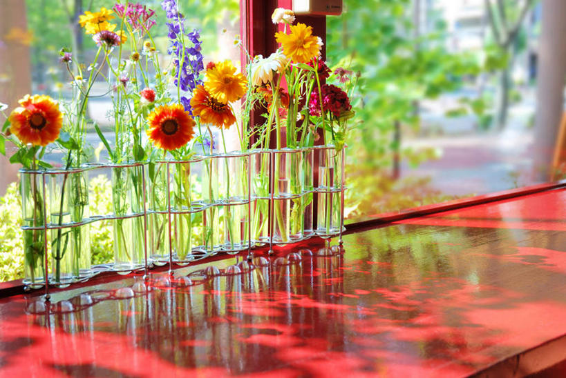 无人,横图,室内,白天,正面,快乐,幸福,花海,花圃,植物,杯子,叶子,许多,阴影,盛开,透明,光线,影子,玛格丽特,花蕾,玻璃制品,雏菊,花,花瓣,花朵,花卉,鲜花,树,树木,黄色,红色,蓝色,绿色,紫色,蓝天,天空,阳光,自然,水杯,香草,花丛,花束,花田,天,花苞,花蕊,薰衣草,菊花,活力,生长,晴朗,成长,希望,坚强,和平,离别,万里无云,灵香草,黄香草,延命菊,幸福花,春菊,马兰头花,暗恋,纯情,单恋,天真,玻璃杯,晴空,晴空万里,彩图,愉快