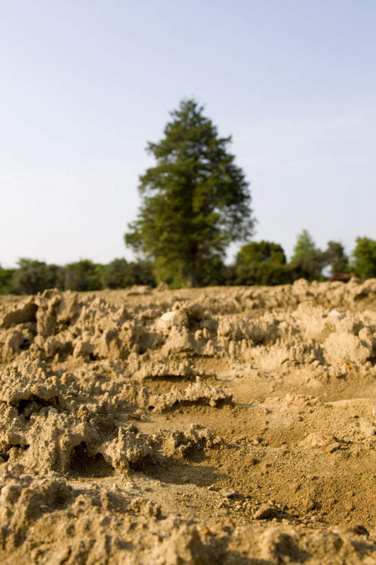 无人,竖图,室外,白天,正面,旅游,度假,美景,树林,植物,日本,亚洲,景观,泥土,千叶县,娱乐,树,树木,蓝色,绿色,蓝天,天空,自然,天,享受,休闲,景色,放松,生长,晴朗,成长,粘土,自然风光,东亚,本州,万里无云,关东地方,本州岛,日本国,千叶,晴空,晴空万里,彩图