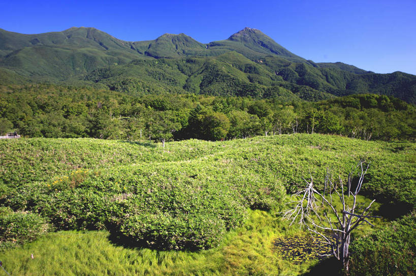 无人,公园,横图,俯视,室外,白天,旅游,度假,草地,草坪,山,山脉,植物,北海道,日本,亚洲,景观,山川,山峰,山峦,娱乐,草,树,树木,蓝色,绿色,蓝天,天空,自然,群山,天,享受,休闲,景色,放松,生长,晴朗,成长,国家公园,自然风光,东亚,万里无云,日本国,北海道地方,北海道岛,知床半岛,知床国家公园,晴空,晴空万里,彩图,高角度拍摄