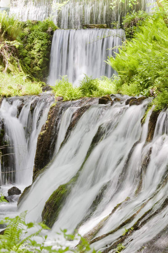 无人,竖图,室外,白天,正面,旅游,度假,美景,瀑布,水,叶子,长野县,日本,亚洲,许多,飞溅,湍急,溅,液体,景观,水滴,绿叶,娱乐,水珠,自然,享受,休闲,嫩叶,景色,放松,流动,喷洒,自然风光,流淌,东亚,本州,本州岛,日本国,中部地方,长野,轻井泽,白系瀑布,叶,叶片,跌水,彩图
