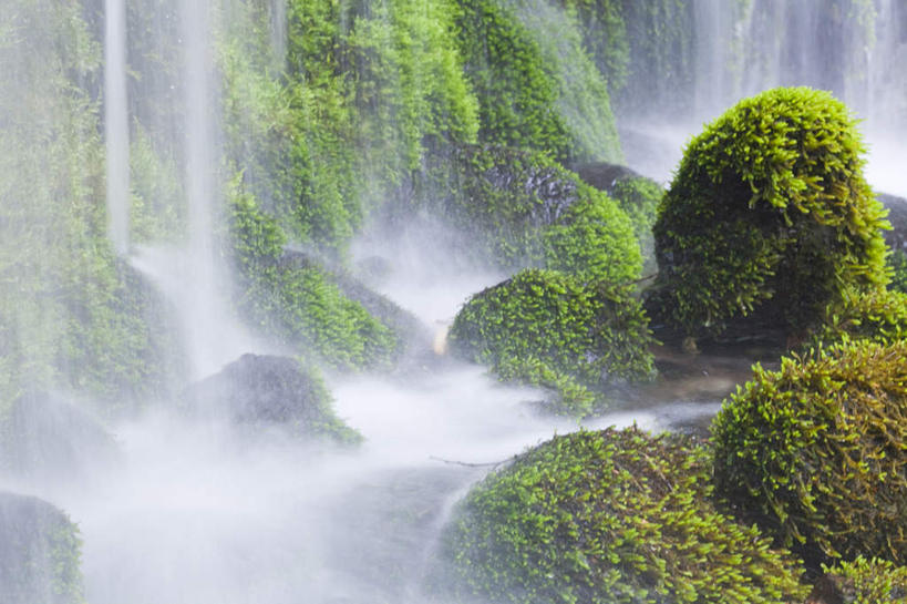 无人,横图,俯视,室外,白天,旅游,度假,美景,瀑布,水,植物,叶子,长野县,日本,亚洲,飞溅,湍急,溅,液体,景观,水滴,绿叶,娱乐,水珠,树,树木,绿色,自然,享受,休闲,嫩叶,景色,放松,生长,成长,喷洒,自然风光,东亚,本州,本州岛,日本国,中部地方,长野,轻井泽,白系瀑布,叶,叶片,跌水,彩图,高角度拍摄