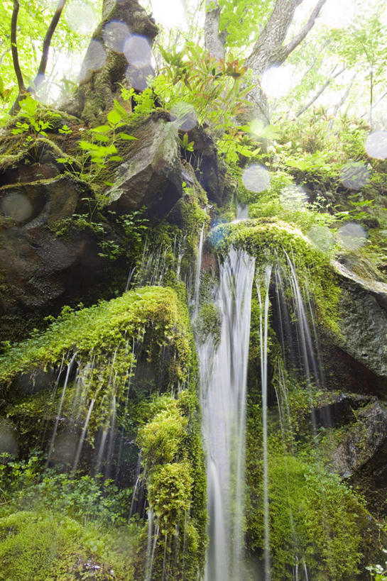 无人,竖图,室外,白天,仰视,旅游,度假,礁石,石头,美景,瀑布,树林,水,植物,叶子,日本,亚洲,许多,阴影,飞溅,朦胧,模糊,湍急,溅,光线,石子,液体,影子,景观,水滴,绿叶,苔藓,娱乐,水珠,树,树木,绿色,阳光,自然,享受,休闲,嫩叶,景色,放松,生长,成长,喷洒,自然风光,东亚,本州,关东地方,本州岛,日本国,群马,群马县,叶,叶片,跌水,礁,石块,岩石,彩图,低角度拍摄