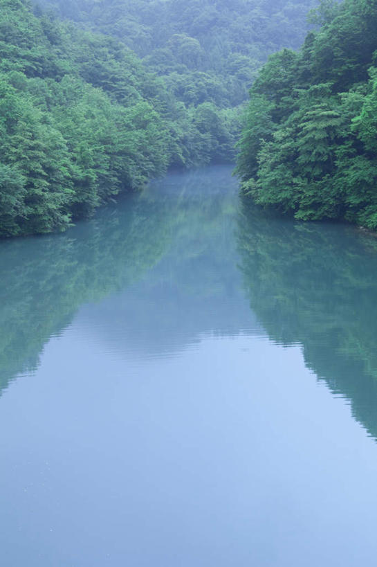 无人,竖图,俯视,室外,白天,旅游,度假,湖,湖泊,美景,树林,水,植物,日本,亚洲,平静,湖面,景观,水流,水面,娱乐,树,树木,蓝色,绿色,倒影,蓝天,天空,自然,湖水,天,享受,休闲,景色,安静,放松,生长,晴朗,成长,宁静,静谧,自然风光,东亚,本州,万里无云,关东地方,本州岛,日本国,群马,群马县,镇静,冷静,沉静,安祥,僻静,清静,太平,晴空,晴空万里,彩图,高角度拍摄