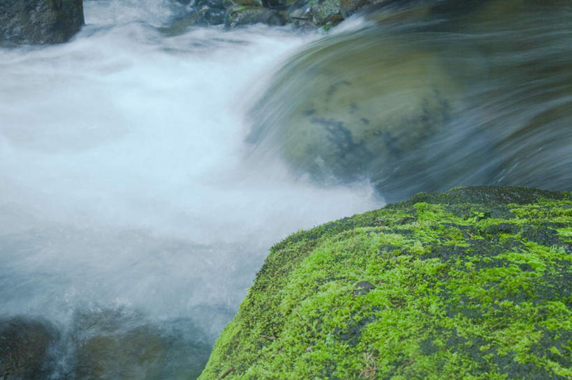 无人,横图,俯视,室外,特写,白天,旅游,度假,河流,礁石,石头,美景,水,植物,叶子,长野县,日本,亚洲,许多,朦胧,模糊,湍急,石子,河水,景观,水流,绿叶,苔藓,娱乐,绿色,自然,享受,休闲,嫩叶,景色,放松,流动,自然风光,流淌,东亚,本州,本州岛,日本国,中部地方,长野,叶,叶片,礁,石块,岩石,彩图,高角度拍摄
