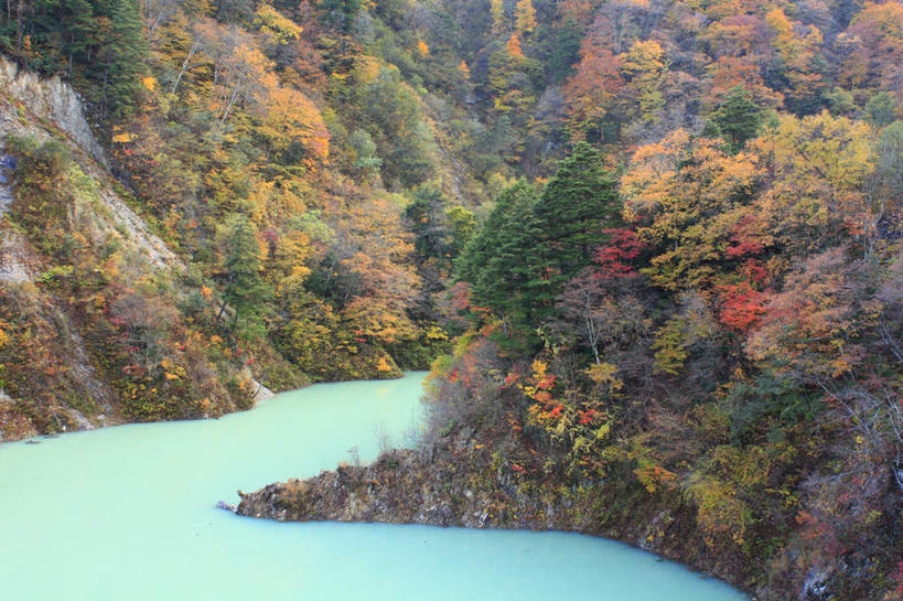 无人,横图,俯视,室外,白天,旅游,度假,河流,美景,秋季,山,水,植物,叶子,长野县,日本,亚洲,许多,河水,景观,水流,枯叶,落叶,娱乐,树,树木,黄色,红色,蓝色,绿色,自然,享受,休闲,景色,放松,生长,成长,自然风光,东亚,本州,本州岛,日本国,中部地方,长野,叶,叶片,秋,秋天,彩图,高角度拍摄