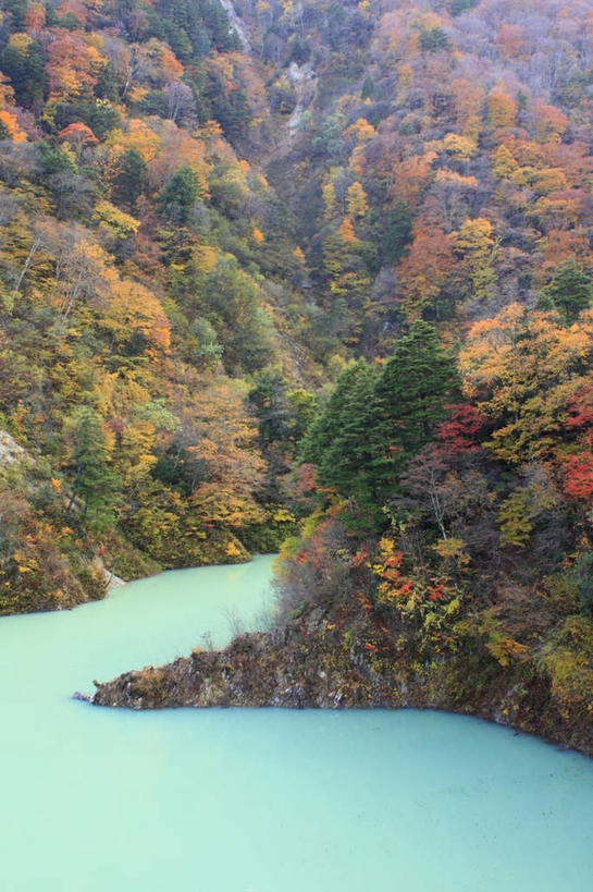 无人,竖图,俯视,室外,白天,旅游,度假,河流,美景,秋季,山,水,植物,叶子,长野县,日本,亚洲,许多,河水,景观,水流,枯叶,落叶,娱乐,树,树木,黄色,红色,蓝色,绿色,自然,享受,休闲,景色,放松,生长,成长,自然风光,东亚,本州,本州岛,日本国,中部地方,长野,叶,叶片,秋,秋天,彩图,高角度拍摄