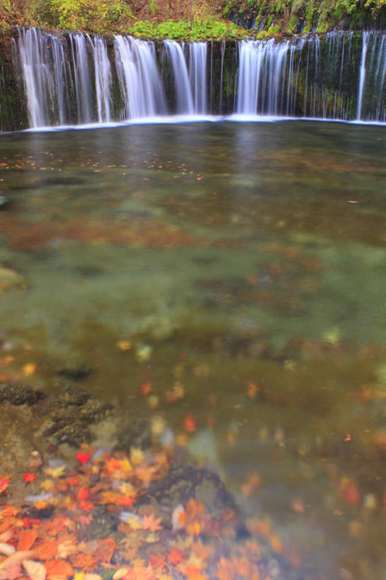 无人,竖图,俯视,室外,白天,旅游,度假,湖,湖泊,美景,瀑布,秋季,水,叶子,静冈县,日本,亚洲,许多,波纹,飞溅,湍急,溅,液体,湖面,景观,水滴,水流,水面,枯叶,落叶,涟漪,娱乐,水珠,黄色,红色,倒影,水纹,自然,波浪,湖水,享受,休闲,景色,放松,飘,倾泻,倾注,喷洒,自然风光,东亚,本州,本州岛,日本国,中部地方,静冈,水晕,泼洒,轻井泽,白系瀑布,叶,叶片,跌水,秋,秋天,彩图,高角度拍摄