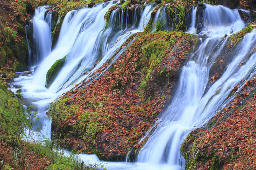 无人,横图,俯视,室外,白天,旅游,度假,美景,瀑布,秋季,水,植物,叶子,静冈县,日本,亚洲,许多,飞溅,湍急,溅,液体,景观,水滴,枯叶,落叶,苔藓,娱乐,水珠,红色,绿色,自然,享受,休闲,景色,放松,喷洒,自然风光,东亚,本州,本州岛,日本国,中部地方,静冈,轻井泽,白系瀑布,叶,叶片,跌水,秋,秋天,彩图,高角度拍摄