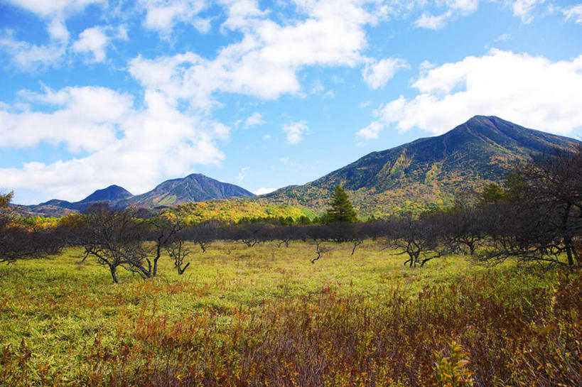 无人,横图,室外,白天,正面,旅游,度假,草地,美景,秋季,山,山脉,植物,日本,亚洲,阴影,枯萎,光线,影子,景观,山峰,云,云朵,山峦,云彩,娱乐,草,树,树木,蓝色,绿色,白云,蓝天,天空,阳光,自然,群山,天,享受,休闲,景色,放松,生长,晴朗,成长,自然风光,东亚,本州,关东地方,本州岛,日本国,栃木,栃木县,晴空,秋,秋天,彩图
