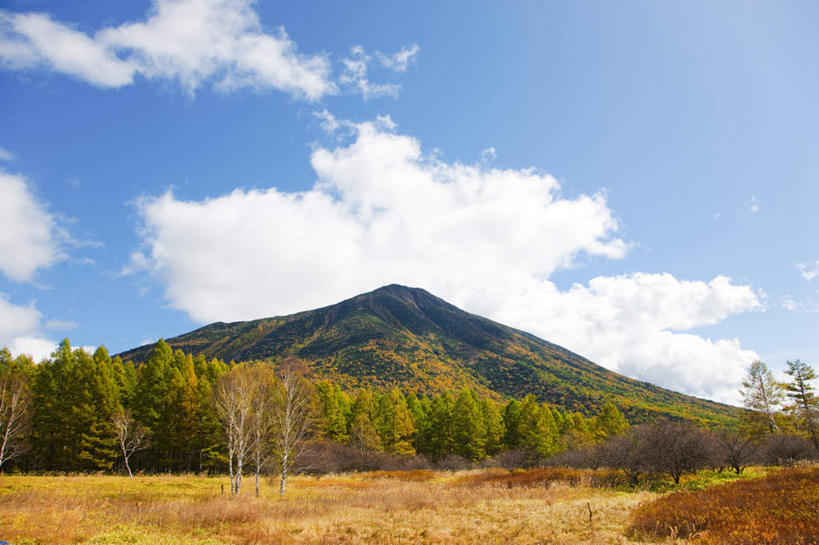 无人,横图,室外,白天,正面,旅游,度假,草地,美景,秋季,山,山脉,植物,日本,亚洲,阴影,枯萎,光线,影子,景观,山峰,云,云朵,山峦,云彩,娱乐,草,树,树木,蓝色,绿色,白云,蓝天,天空,阳光,自然,群山,天,享受,休闲,景色,放松,生长,晴朗,成长,自然风光,东亚,本州,关东地方,本州岛,日本国,栃木,栃木县,晴空,秋,秋天,彩图