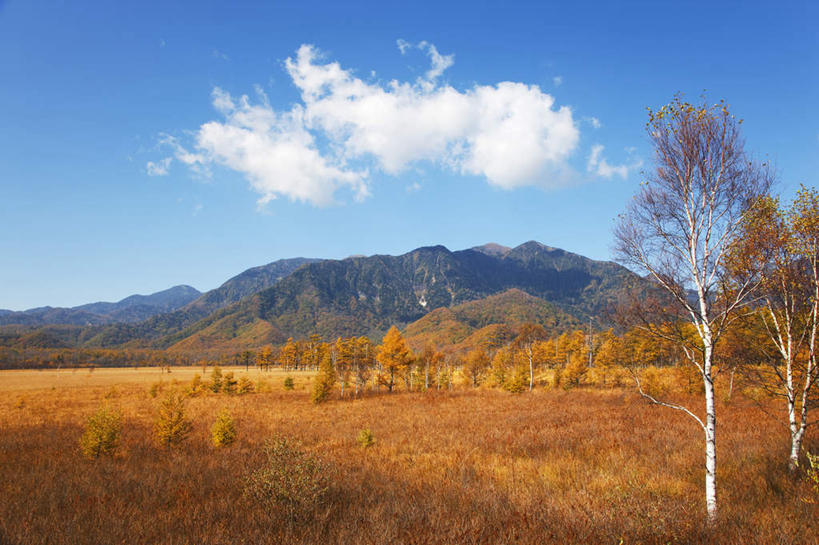 无人,横图,俯视,室外,白天,旅游,度假,草地,美景,秋季,山,山脉,植物,日本,亚洲,阴影,枯萎,光线,影子,景观,山峰,云,云朵,山峦,云彩,娱乐,草,树,树木,蓝色,绿色,白云,蓝天,天空,阳光,自然,群山,天,享受,休闲,景色,放松,白桦,生长,晴朗,成长,自然风光,东亚,本州,关东地方,本州岛,日本国,栃木,栃木县,晴空,秋,秋天,桦树,桦皮树,桦木,彩图,高角度拍摄