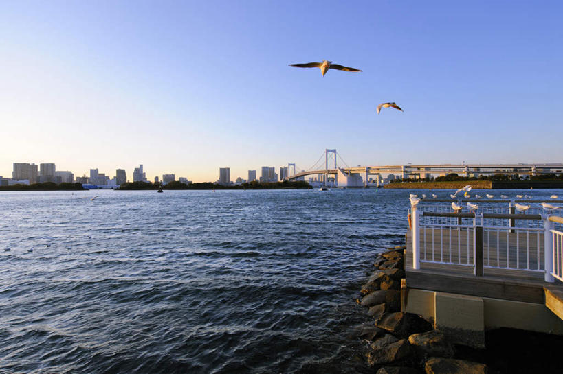 无人,高楼大厦,横图,室外,白天,正面,度假,海浪,海洋,美景,日落,植物,城市风光,城市,大桥,大厦,建筑,立交桥,摩天大楼,桥梁,海鸟,海鸥,鸟,东京,日本,亚洲,飞翔,平静,飞行,鸟类,景观,浪花,晚霞,霞光,高架,建筑群,斜拉桥,桥,彩虹大桥,翱翔,娱乐,建设,飞舞,树,树木,蓝色,绿色,倒影,蓝天,天空,自然,海水,黄昏,天,两只,享受,休闲,景色,彩霞,安静,放松,生长,晴朗,成长,宁静,航行,静谧,飘动,海景,东亚,本州,万里无云,关东地方,本州岛,日本国,东京都,镇静,日本彩虹大桥,灯火辉煌,冷静,沉静,遨游,漫游,繁荣,安祥,僻静,清静,太平,大海,风浪,海,海水的波动,近岸浪,涌浪,晴空,晴空万里,夕阳,彩图,全身,大楼,高层建筑,高楼,摩天楼