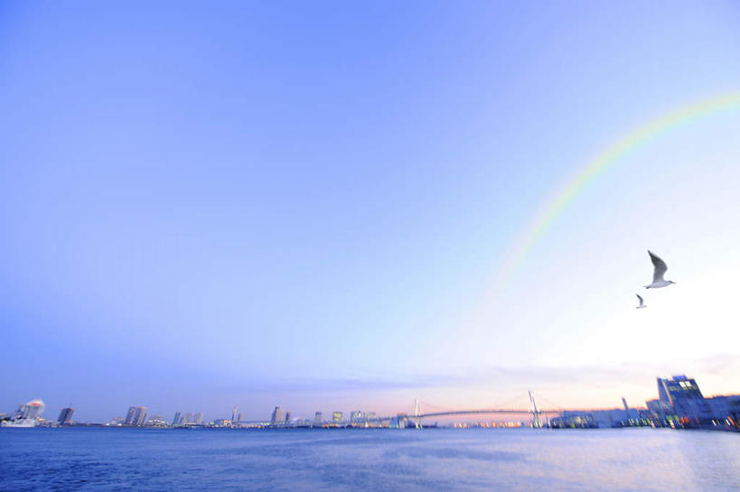 无人,高楼大厦,横图,室外,白天,仰视,度假,彩虹,海浪,海洋,美景,日落,城市风光,城市,大桥,大厦,建筑,立交桥,摩天大楼,桥梁,海鸟,海鸥,鸟,东京,日本,亚洲,飞翔,阴影,波纹,飞行,光线,鸟类,影子,景观,浪花,晚霞,霞光,高架,建筑群,斜拉桥,桥,彩虹大桥,涟漪,翱翔,娱乐,建设,飞舞,蓝色,蓝天,水纹,天空,阳光,海水,黄昏,波浪,天,两只,享受,休闲,景色,彩霞,放松,晴朗,航行,飘动,海景,东亚,本州,万里无云,关东地方,本州岛,日本国,东京都,水晕,日本彩虹大桥,遨游,漫游,大海,风浪,海,海水的波动,近岸浪,涌浪,虹,虹桥,七彩虹,晴空,晴空万里,天虹,夕阳,彩图,低角度拍摄,全身,大楼,高层建筑,高楼,摩天楼