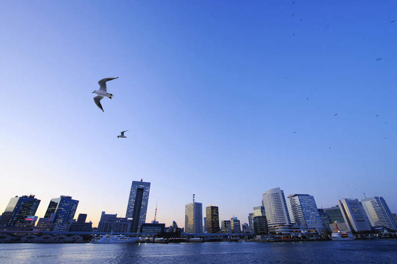 无人,高楼大厦,横图,室外,白天,仰视,度假,海浪,海洋,美景,日落,城市风光,城市,大厦,建筑,摩天大楼,海鸟,海鸥,鸟,东京,日本,亚洲,飞翔,阴影,波纹,飞行,光线,鸟类,影子,景观,浪花,晚霞,霞光,建筑群,彩虹大桥,涟漪,翱翔,娱乐,建设,飞舞,蓝色,蓝天,水纹,天空,阳光,海水,黄昏,波浪,天,两只,享受,休闲,景色,彩霞,放松,晴朗,航行,飘动,海景,东亚,本州,万里无云,关东地方,本州岛,日本国,东京都,水晕,日本彩虹大桥,遨游,漫游,大海,风浪,海,海水的波动,近岸浪,涌浪,晴空,晴空万里,夕阳,彩图,低角度拍摄,全身,大楼,高层建筑,高楼,摩天楼