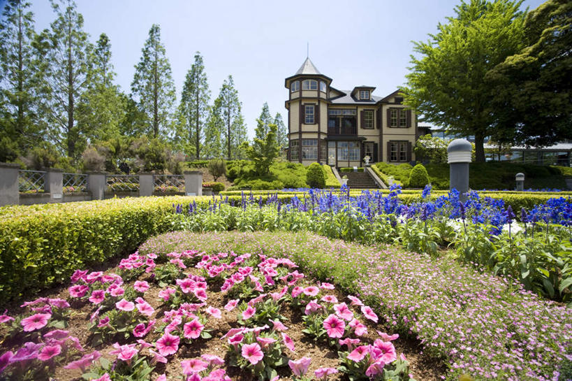 无人,栏杆,横图,室外,白天,正面,花海,花圃,植物,叶子,神奈川,日本,亚洲,一排,许多,整齐,盛开,花坛,房屋,屋子,云,云朵,公寓,围栏,横滨,横滨市,神奈川县,花蕾,云彩,护栏,楼房,住宅,花,花瓣,花朵,花卉,鲜花,树,树木,排列,粉色,黄色,蓝色,绿色,紫色,白色,白云,蓝天,天空,自然,花丛,花束,花田,天,花苞,花蕊,生长,晴朗,成长,队列,东亚,本州,万里无云,首府,关东地方,本州岛,日本国,晴空,晴空万里,彩图,房子