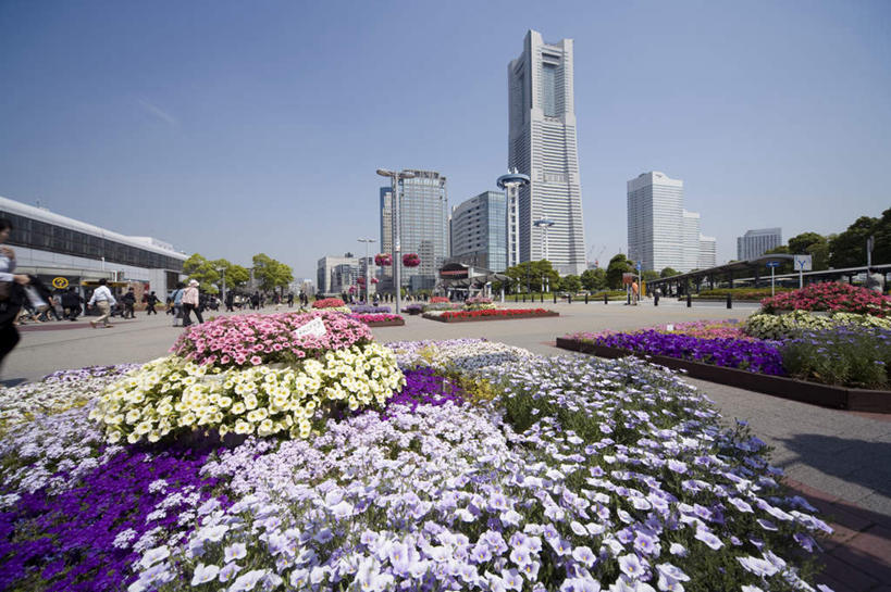 无人,高楼大厦,横图,室外,白天,正面,度假,花海,花圃,美景,植物,城市风光,城市,大厦,建筑,摩天大楼,叶子,神奈川,日本,亚洲,许多,盛开,景观,云,云朵,建筑群,绿叶,横滨,横滨市,神奈川县,花蕾,云彩,娱乐,建设,花,花瓣,花朵,花卉,鲜花,粉色,黄色,蓝色,绿色,紫色,白色,白云,蓝天,天空,自然,花丛,花田,天,花苞,花蕊,享受,休闲,嫩叶,景色,放松,生长,晴朗,成长,东亚,本州,首府,关东地方,本州岛,日本国,叶,叶片,晴空,彩图,大楼,高层建筑,高楼,摩天楼