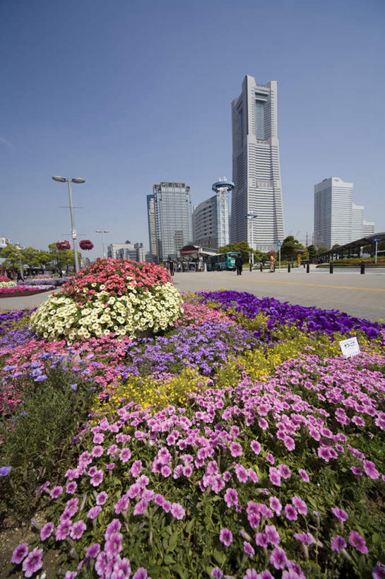 无人,高楼大厦,竖图,室外,白天,正面,旅游,度假,花海,花圃,美景,植物,城市风光,城市,大厦,道路,建筑,路,摩天大楼,叶子,神奈川,日本,亚洲,许多,阴影,盛开,光线,花坛,影子,景观,云,云朵,建筑群,小路,交通,横滨,横滨市,神奈川县,花蕾,云彩,娱乐,建设,花,花瓣,花朵,花卉,鲜花,粉色,黄色,红色,蓝色,绿色,紫色,白云,蓝天,天空,阳光,花丛,花束,花田,天,花苞,花蕊,享受,休闲,景色,放松,晴朗,东亚,本州,首府,关东地方,本州岛,日本国,晴空,彩图,大楼,高层建筑,高楼,摩天楼