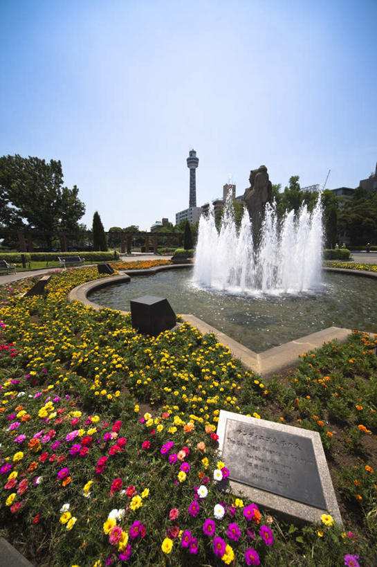 无人,竖图,室外,白天,正面,旅游,度假,草地,湖,湖泊,花海,花圃,水,植物,标志建筑,地标,建筑,喷泉,叶子,神奈川,日本,亚洲,许多,波纹,盛开,花坛,湖面,景观,水流,水面,云,云朵,建筑群,涟漪,横滨,横滨市,神奈川县,花蕾,云彩,文化,娱乐,建设,草,花,花瓣,花朵,花卉,鲜花,树,树木,黄色,红色,蓝色,绿色,白云,蓝天,水纹,天空,自然,波浪,湖水,花丛,花束,花田,天,花苞,花蕊,品味,享受,休闲,放松,生长,晴朗,成长,水景,东亚,本州,首府,关东地方,本州岛,日本国,水晕,美观,设计,晴空,彩图