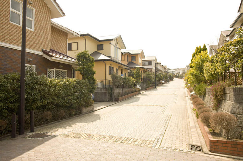 无人,家,横图,俯视,室外,白天,植物,神奈川,日本,亚洲,一排,许多,阴影,整齐,装饰,光线,影子,房屋,屋子,公寓,神奈川县,洋房,楼房,住宅,树,树木,排列,蓝色,绿色,蓝天,天空,阳光,自然,天,生长,晴朗,成长,华丽,修饰,点缀,队列,东亚,本州,万里无云,关东地方,本州岛,日本国,衬托,美观,雅致,雅观,晴空,晴空万里,彩图,高角度拍摄,房子