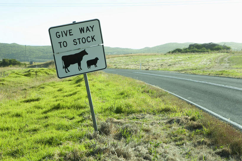 无人,横图,室外,白天,正面,旅游,度假,草地,草坪,美景,山,山脉,植物,道路,路,指示牌,公路,澳大利亚,英文,标志,文字,字符,字母,景观,山峰,云,云朵,分界线,停车线,交通,山峦,云彩,娱乐,标识,草,一个,蓝色,绿色,黑色,白云,蓝天,天空,自然,群山,天,享受,休闲,景色,放松,晴朗,单个,英文字母,车行道,车行道分界线,自然风光,标线,大洋洲,澳洲,车行线,南方大陆,澳大利亚联邦,晴空,马路,彩图