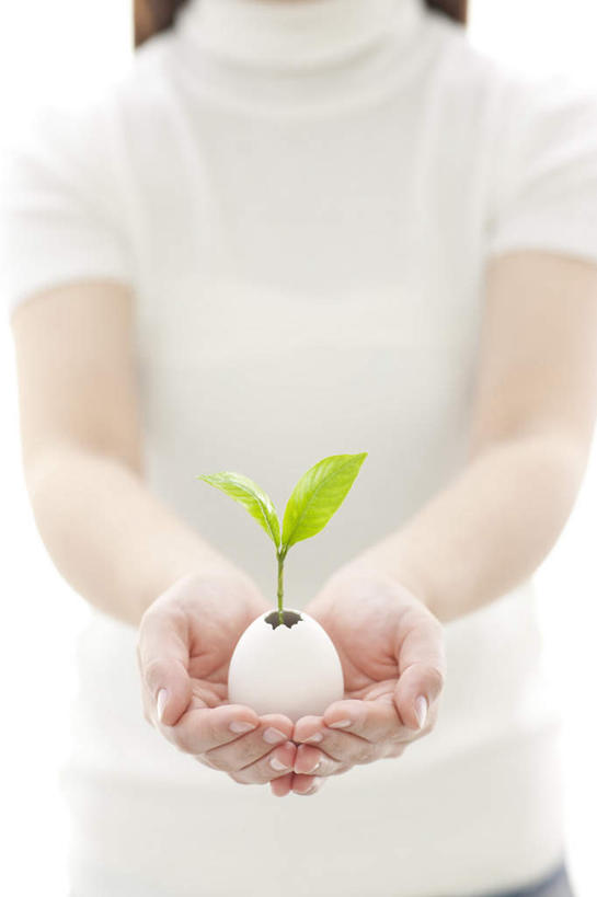 东方人,一个人,站,捧,竖图,室内,白天,白色背景,正面,毛衣,植物,亚洲,仅一个年轻女性,仅一个女性,仅一个人,环保,盆栽,盆景,黄种人,绿色,白色,自然,站着,摄影,影棚,生长,能源,成长,生机,希望,回收,一盆,资源,利用,低碳,循环,灵动,持续,年轻女性,女人,女性,亚洲人,端,端着,捧着,手捧,站立,半身,彩图,影棚拍摄,绒衣,套衫,套头毛衣,线衣,拍摄