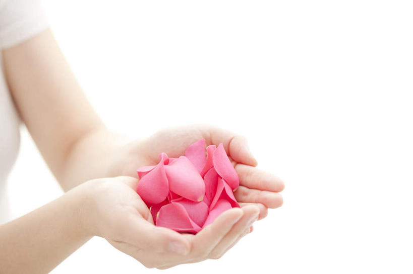 东方人,手,一个人,站,捧,横图,俯视,室内,特写,白天,白色背景,爱情,幸福,纯洁,热情,玫瑰,亚洲,双手,仅一个年轻女性,仅一个女性,仅一个人,玫瑰花,浪漫,黄种人,花瓣,粉色,站着,温暖,温馨,手部,恩爱,摄影,影棚,和睦,感动,尊敬,天真,刺玫花,徘徊花,年轻女性,女人,女性,亚洲人,端,端着,捧着,手捧,站立,半身,彩图,高角度拍摄,影棚拍摄,拍摄,融洽