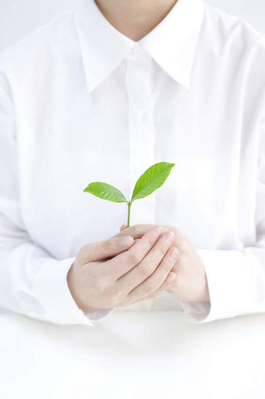 东方人,手,一个人,站,举,竖图,室内,特写,白天,正面,衬衫,植物,叶子,亚洲,双手,仅一个年轻女性,仅一个女性,仅一个人,一片,环保,纹理,绿叶,黄种人,绿色,白色,托,站着,手部,嫩叶,能源,生机,希望,生态,资源,低碳,肌理,灵动,持续,年轻女性,女人,女性,亚洲人,叶,叶片,叶脉,举起,举手,举着,向上举,向上伸,向上托,站立,半身,彩图,衬衣