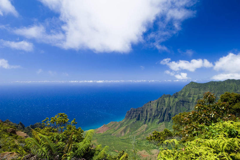 无人,横图,俯视,室外,白天,旅游,度假,草地,草坪,岛屿,海浪,海洋,美景,森林,树林,植物,夏威夷,美国,景观,浪花,水平线,云,云朵,辽阔,海平线,云彩,娱乐,草,树,树木,蓝色,绿色,白云,蓝天,天空,自然,海水,天,享受,休闲,广阔,景色,放松,生长,晴朗,成长,一望无际,北美,北美洲,自然风光,美洲,海景,夏威夷州,爱洛哈之州,可爱岛,考艾岛,考爱岛,北亚美利加洲,亚美利加洲,无边无际,一马平川,花园之岛,大海,风浪,海,海水的波动,近岸浪,列岛,群岛,涌浪,诸岛,晴空,彩图,高角度拍摄,水天相接,水天一线