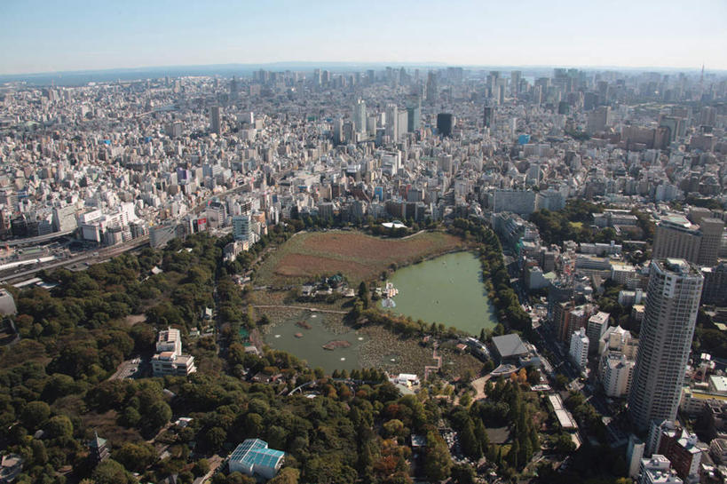 无人,公园,高楼大厦,横图,全景,俯视,航拍,室外,白天,度假,湖,湖泊,美景,树林,水,天际线,植物,城市风光,城市,大厦,道路,建筑,路,摩天大楼,公路,汽车,东京,日本,亚洲,阴影,光线,影子,湖面,景观,水流,水面,云,云朵,建筑群,交通,云彩,娱乐,建设,车,树,树木,蓝色,绿色,白云,蓝天,天空,阳光,自然,交通工具,轿车,湖水,天,享受,休闲,景色,放松,生长,晴朗,成长,鸟瞰,载具,东亚,本州,关东地方,本州岛,日本国,东京都,县厅,东京市,东京上野公园,晴空,马路,彩图,高角度拍摄,大楼,高层建筑,高楼,摩天楼,上野公园