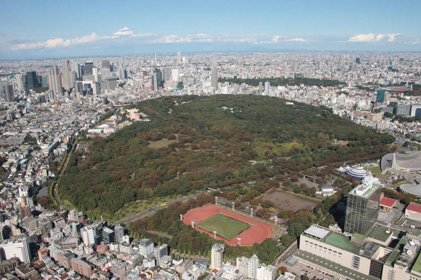 无人,足球场,公园,高楼大厦,运动场,横图,俯视,航拍,室外,白天,度假,草地,草坪,海洋,美景,树林,植物,城市风光,标志建筑,城市,大桥,大厦,地标,建筑,立交桥,摩天大楼,桥梁,东京,日本,亚洲,阴影,光线,影子,地平线,景观,云,云朵,高架,跑道,桥,辽阔,地面,云彩,娱乐,建设,体育场,草,树,树木,蓝色,绿色,白云,蓝天,天空,阳光,自然,海水,天,享受,休闲,景色,放松,生长,晴朗,成长,一望无际,鸟瞰,延伸,绿茵场,海景,东亚,本州,关东地方,本州岛,日本国,东京都,天地相交,涩谷,涉谷,涩谷区,代代木公园,大海,海,晴空,彩图,高角度拍摄,大楼,高层建筑,高楼,摩天楼,足球比赛场地