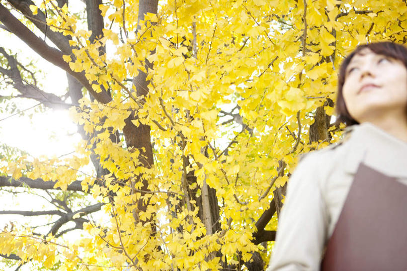 东方人,一个人,商务人士,商务女性,站,横图,室外,白天,仰视,秋季,植物,叶子,亚洲,仅一个年轻女性,仅一个女性,仅一个人,许多,阴影,套装,朦胧,模糊,光线,材料,档案,文件,影子,枯叶,落叶,注视,黄种人,树,树木,黄色,绿色,阳光,自然,资料,看,站着,生长,成长,关注,文档,商务装,工薪阶层,梧桐,中国梧桐,青桐,年轻女性,女人,女性,亚洲人,白领,上班族,叶,叶片,秋,秋天,抬头,仰头,站立,半身,彩图,低角度拍摄