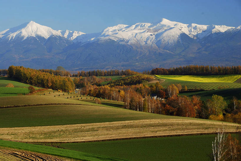 无人,农田,横图,室外,白天,正面,旅游,度假,庄稼,农作物,美景,山,山脉,树林,雪,雪山,植物,大雪,叶子,北海道,日本,亚洲,积雪,景观,山峰,雪景,枯叶,落叶,山峦,娱乐,树,树木,红色,蓝色,绿色,蓝天,天空,自然,群山,天,享受,休闲,景色,放松,生长,晴朗,成长,自然风光,东亚,万里无云,日本国,北海道地方,北海道岛,叶,叶片,晴空,晴空万里,彩图,耕地,庄稼田