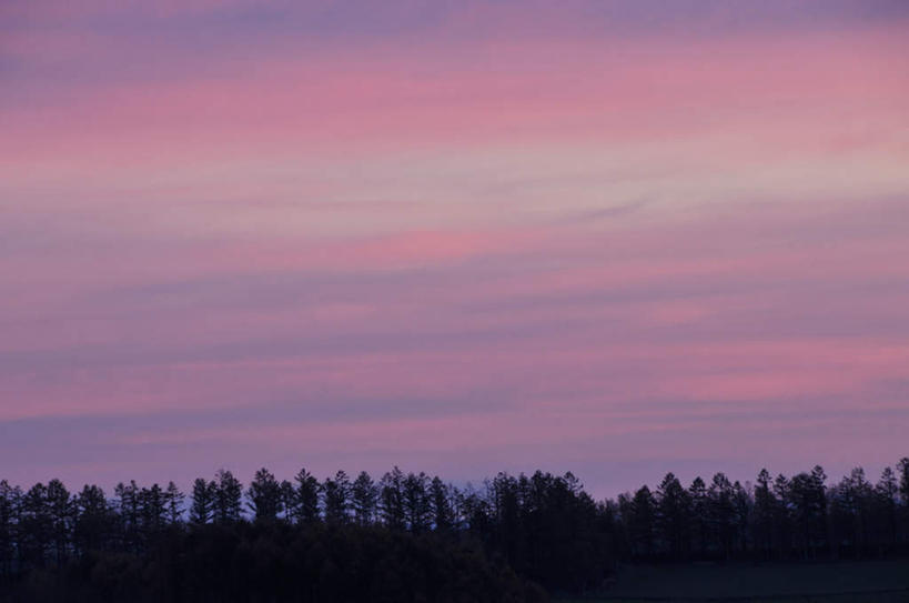 无人,横图,室外,白天,仰视,旅游,度假,美景,日落,森林,树林,植物,北海道,日本,亚洲,景观,晚霞,霞光,云,云朵,云彩,娱乐,树,树木,蓝色,绿色,白云,蓝天,天空,自然,黄昏,天,享受,休闲,景色,彩霞,放松,生长,晴朗,成长,自然风光,东亚,日本国,北海道地方,北海道岛,晴空,夕阳,彩图,低角度拍摄