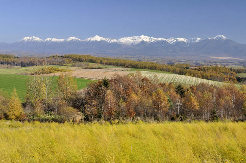无人,横图,室外,白天,正面,旅游,度假,草地,草坪,美景,山,山脉,树林,雪山,植物,北海道,日本,亚洲,阴影,光线,影子,景观,山峰,山峦,娱乐,草,树,树木,黄色,蓝色,绿色,白色,蓝天,天空,阳光,自然,群山,天,享受,休闲,景色,放松,生长,成长,棕黄色,自然风光,东亚,日本国,北海道地方,北海道岛,石刁柏,彩图