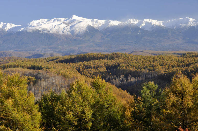 无人,横图,室外,白天,正面,旅游,度假,美景,山,山脉,树林,雪山,植物,北海道,日本,亚洲,阴影,光线,影子,景观,山峰,山峦,娱乐,树,树木,黄色,蓝色,绿色,白色,蓝天,天空,阳光,自然,群山,天,享受,休闲,景色,放松,生长,成长,自然风光,东亚,日本国,北海道地方,北海道岛,彩图