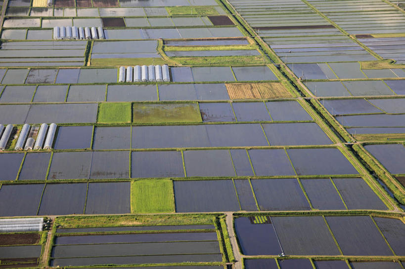 无人,农田,横图,俯视,航拍,室外,白天,旅游,度假,农业,庄稼,农作物,美景,日本,亚洲,一排,许多,阴影,整齐,光线,方格,格子,影子,稻田,景观,娱乐,排列,蓝色,绿色,白色,自然,享受,休闲,景色,放松,大棚,鸟瞰,队列,自然风光,东亚,日本国,九州本岛,九州,九州岛,九州地方,熊本,熊本县,彩图,高角度拍摄,耕地,庄稼田