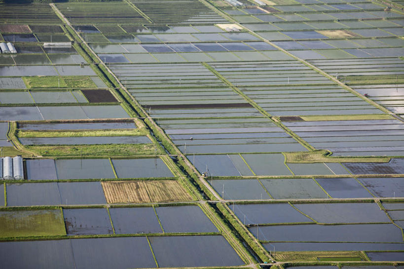 无人,农田,横图,俯视,航拍,室外,白天,旅游,度假,农业,庄稼,农作物,美景,日本,亚洲,一排,许多,阴影,整齐,光线,方格,格子,影子,稻田,景观,娱乐,排列,蓝色,绿色,白色,自然,享受,休闲,景色,放松,大棚,鸟瞰,队列,自然风光,东亚,日本国,九州本岛,九州,九州岛,九州地方,熊本,熊本县,彩图,高角度拍摄,耕地,庄稼田
