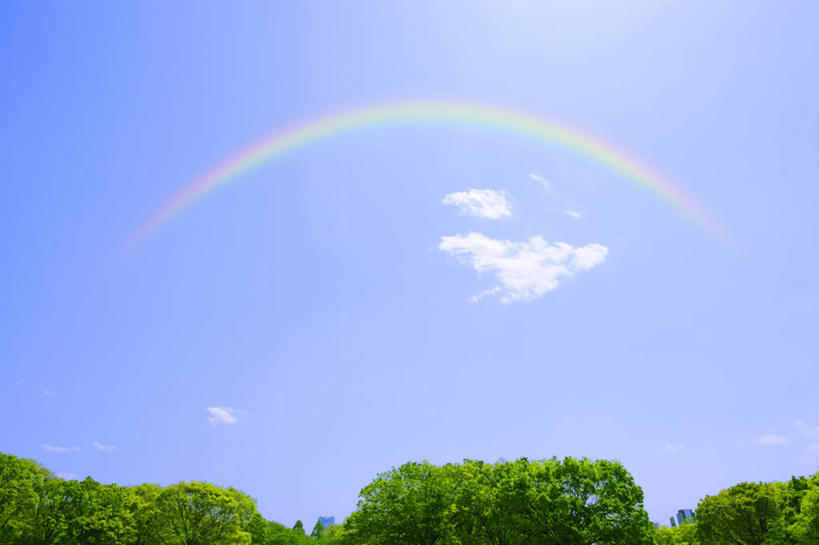 无人,横图,室外,白天,仰视,旅游,度假,彩虹,美景,树林,植物,东京,日本,亚洲,阴影,光线,影子,景观,云,云朵,云彩,娱乐,树,树木,蓝色,绿色,白云,蓝天,天空,阳光,自然,天,享受,休闲,景色,放松,生长,成长,自然风光,东亚,本州,关东地方,本州岛,日本国,东京都,一道,代代木公园,虹,虹桥,七彩虹,天虹,彩图,低角度拍摄