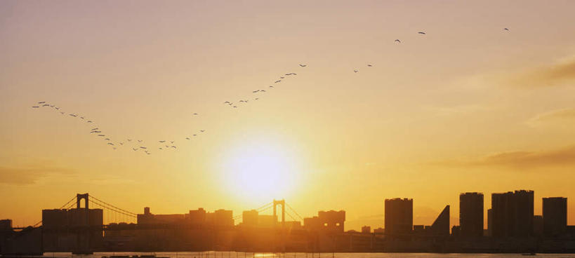 无人,高楼大厦,横图,全景,室外,白天,仰视,度假,河流,美景,日落,水,太阳,天际线,城市风光,城市,大桥,大厦,建筑,立交桥,摩天大楼,桥梁,鸟,东京,日本,亚洲,一排,许多,伸展,张开,展翅,整齐,光线,翅膀,鸟类,河水,景观,水流,晚霞,霞光,高架,建筑群,斜拉桥,桥,江东区,背光,注视,娱乐,建设,飞,排列,天空,阳光,黄昏,天,观察,看,享受,休闲,景色,彩霞,放松,观看,察看,队列,关注,逆光,东亚,张开翅膀,本州,关东地方,本州岛,日本国,东京都,展开翅膀,夕阳,彩图,低角度拍摄,大楼,高层建筑,高楼,摩天楼