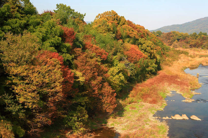 无人,横图,俯视,室外,白天,旅游,度假,河流,美景,山,山脉,树林,水,植物,日本,亚洲,阴影,光线,影子,河水,景观,山峰,水流,山峦,娱乐,树,树木,蓝色,绿色,蓝天,天空,自然,群山,天,享受,休闲,景色,放松,生长,成长,自然风光,东亚,本州,关东地方,本州岛,日本国,崎玉,崎玉县,彩图,高角度拍摄
