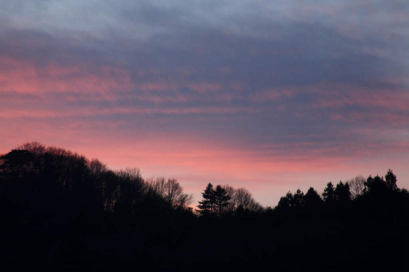 无人,横图,室外,白天,仰视,美景,日落,山,山脉,树林,植物,日本,亚洲,阴影,光线,影子,景观,山峰,晚霞,霞光,山峦,树,树木,蓝色,绿色,蓝天,天空,自然,黄昏,群山,天,景色,彩霞,生长,成长,自然风光,东亚,本州,关东地方,本州岛,日本国,崎玉,崎玉县,夕阳,彩图,低角度拍摄