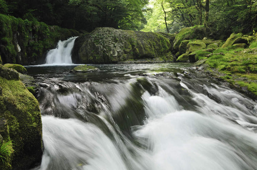 无人,横图,室外,白天,正面,旅游,度假,草地,草坪,河流,石头,美景,瀑布,树林,水,植物,日本,亚洲,阴影,飞溅,溅,光线,石子,液体,影子,河水,景观,水滴,水流,娱乐,水珠,草,树,树木,绿色,小溪,自然,溪水,享受,休闲,景色,放松,生长,成长,喷洒,自然风光,东亚,日本国,九州本岛,九州,九州岛,九州地方,熊本,熊本县,菊池溪谷,跌水,石块,岩石,彩图