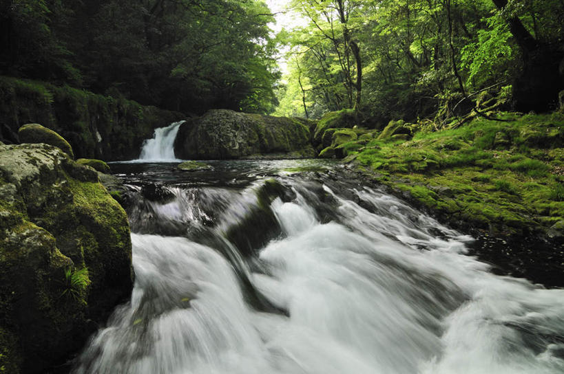 无人,横图,室外,白天,正面,旅游,度假,草地,草坪,河流,石头,美景,瀑布,树林,水,植物,日本,亚洲,阴影,飞溅,溅,光线,石子,液体,影子,河水,景观,水滴,水流,娱乐,水珠,草,树,树木,绿色,小溪,自然,溪水,享受,休闲,景色,放松,生长,成长,喷洒,自然风光,东亚,日本国,九州本岛,九州,九州岛,九州地方,熊本,熊本县,菊池溪谷,跌水,石块,岩石,彩图